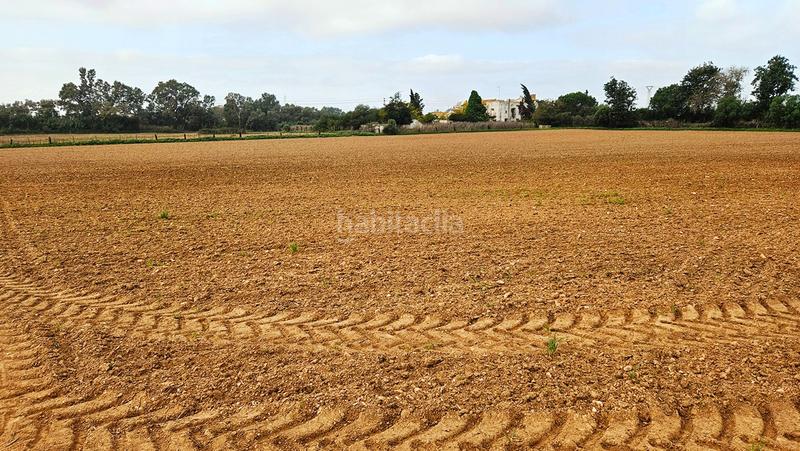 Foto 47cab8cc-6784-4a49-9bfe-cdbb6f2811d0. Propriété dans La Hispanidad - Verdeluz Huelva