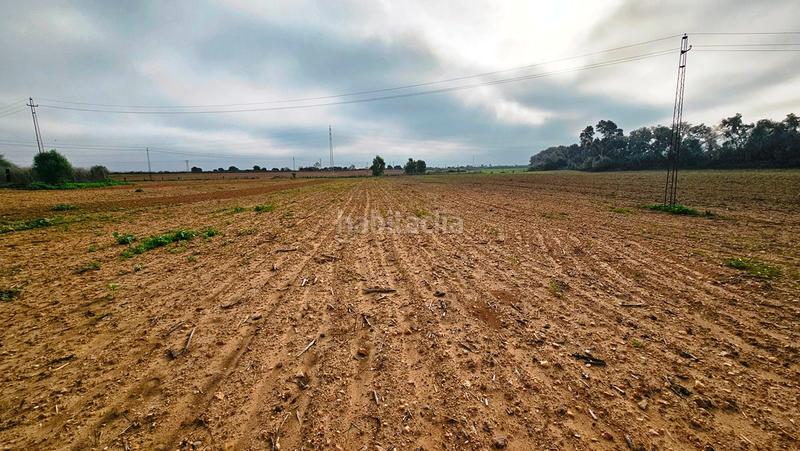 Foto 5c84a2e2-a74f-42bf-8562-b0c0803fb020. Propriété dans La Hispanidad - Verdeluz Huelva