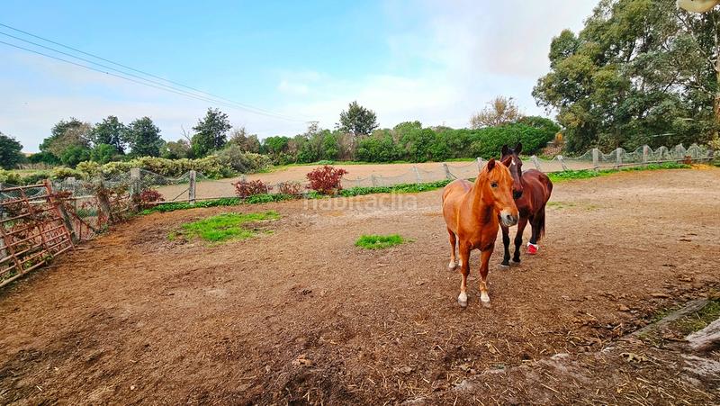 Foto 776dd577-3de9-487f-b5a0-4cdc2048b074. Propriété dans La Hispanidad - Verdeluz Huelva