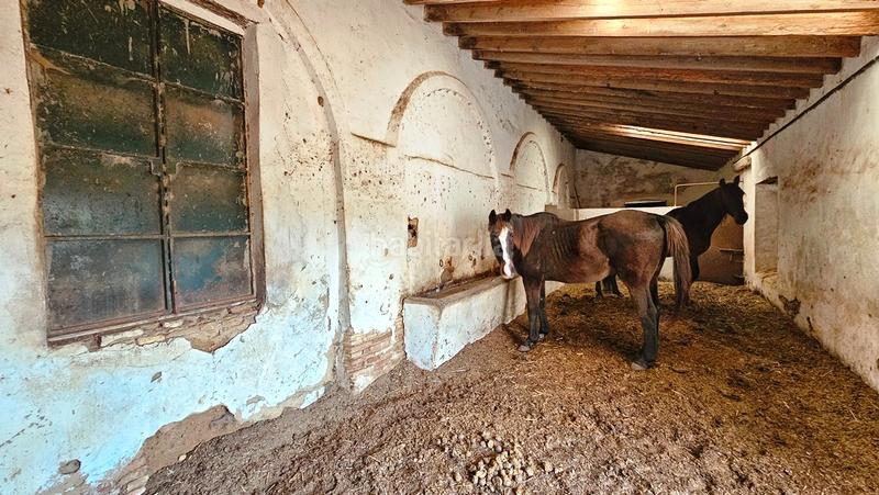 Foto 78485d14-19a5-473c-a48a-d727a6826e51. Propriété dans La Hispanidad - Verdeluz Huelva