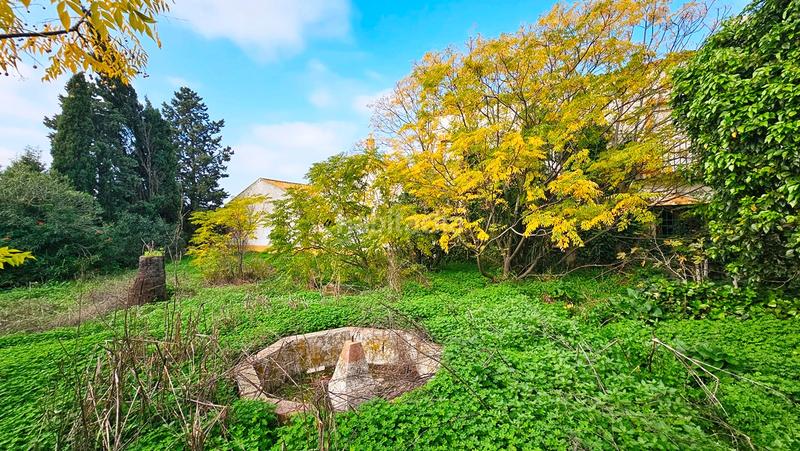 Foto 80ebbd4d-77af-4b0a-9d69-b49361adb9bf. Propriété dans La Hispanidad - Verdeluz Huelva