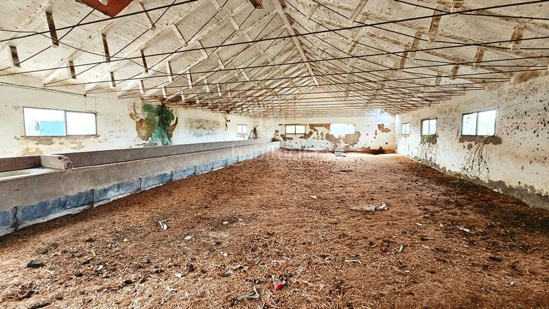 Foto e3b0f2ba-bcca-414d-9acc-a95d93f63c8e. Propriété dans La Hispanidad - Verdeluz Huelva