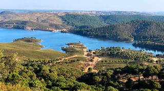 Landgut in N/a. Finca de 11 has. en nerva con excelentes vistas