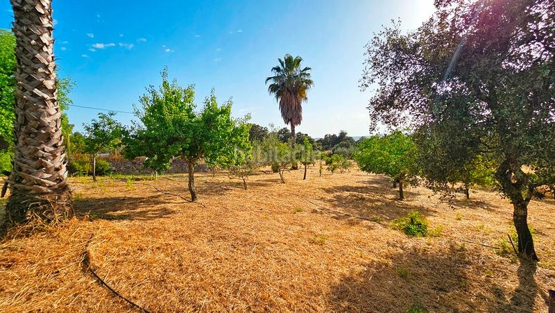 Foto 4a5d387c-4113-4909-8257-1b4ceda13ff7. Casa in aldea cañuelo 2 in Castillo de las Guardas (El)