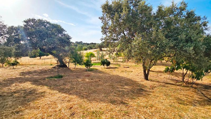 Foto 72788d0f-ad16-4a69-bb6f-8856f0a8013d. Casa in aldea cañuelo 2 in Castillo de las Guardas (El)