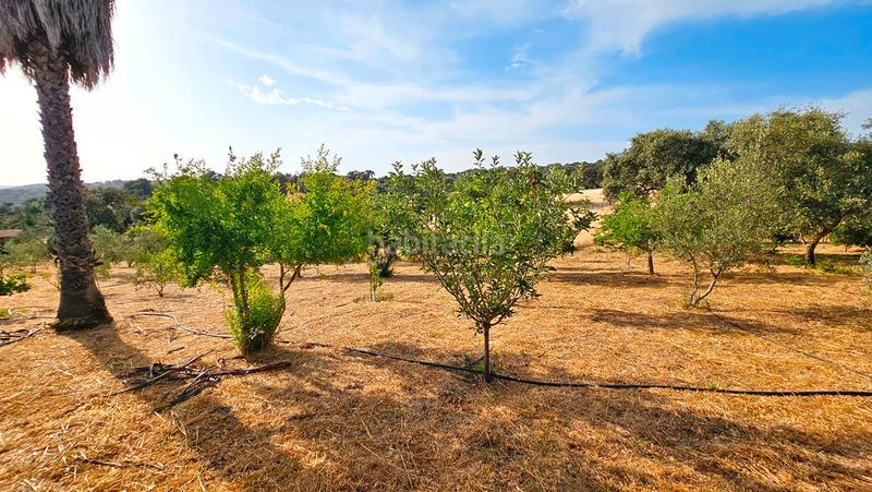 Foto b7875ed8-df4e-4cb7-9e95-bc2f7f6a3f78. Casa in aldea cañuelo 2 in Castillo de las Guardas (El)