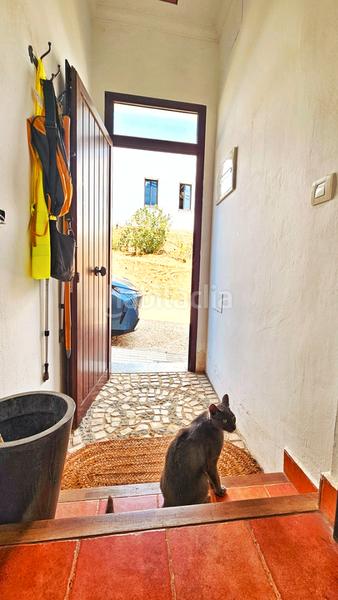 Foto 9544ee91-bb6d-4ecf-8a55-c3ff5c403070. Casa in calle sagrado corazón de jesús 2 in Aroche