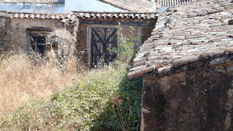 Foto b66418ba-c3f3-49d2-ade4-79d2faf9abbc. Wohngrundstück in calle colón 10 in Cumbres de Enmedio