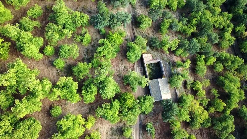 Foto 0e7a0661-ed88-4e86-bb8a-1eab09c79c38. Finca rústica a Castaño del Robledo