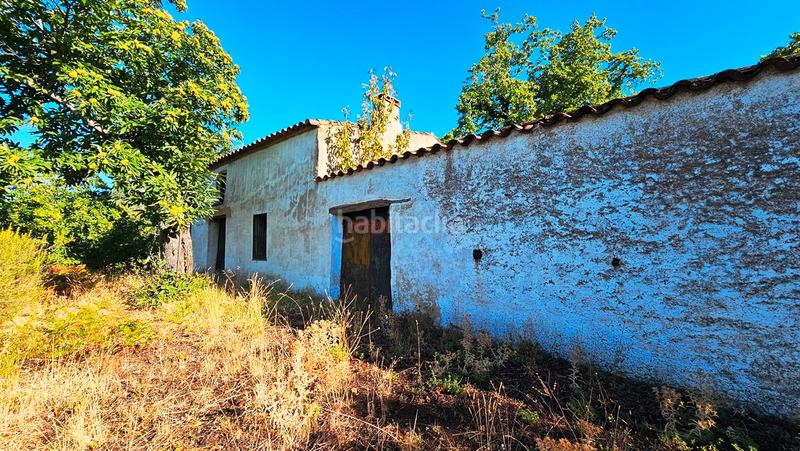 Foto 13d7bc0e-e04d-432c-9bde-89c94907977f. Finca rústica a Castaño del Robledo