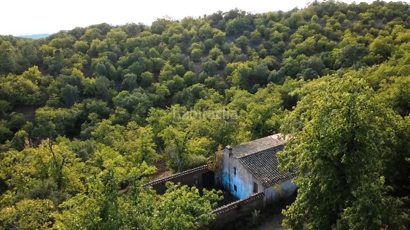 Foto 2480c78b-45ae-4145-9b91-4928b42df071. Finca rústica a Castaño del Robledo