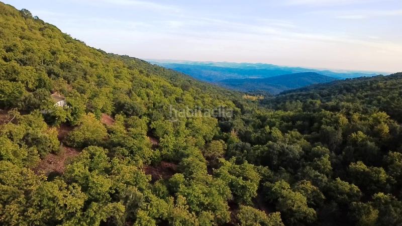 Foto 278a823c-4e99-4906-a683-ae13cbe7905b. Finca rústica a Castaño del Robledo