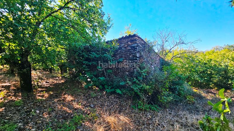 Foto 62bef6b8-936d-48a9-a032-c001506850b7. Finca rústica a Castaño del Robledo