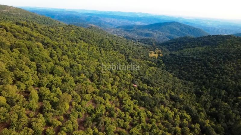 Foto 9acfb723-a07e-4e81-95d1-29f3ef261c65. Finca rústica a Castaño del Robledo