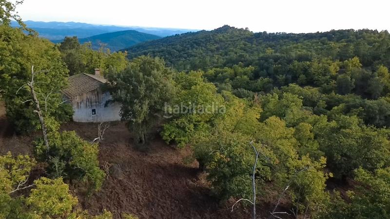 Foto a16b8b5a-0039-4878-9f21-38f539a44203. Finca rústica a Castaño del Robledo