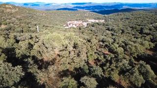 Finca rústica a Dehesa 8. Finca de 9 has en aracena a las afueras de la umbría