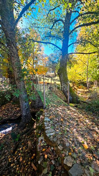 Foto 26895315-95b4-4551-bf2c-459525e2e7c3. Casa amb xemeneia aparcament piscina a Cortelazor