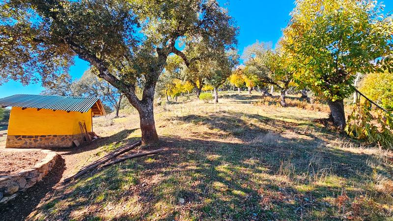 Foto 6e408535-530a-48f1-94fc-dfa2d7b974b9. Casa amb xemeneia aparcament piscina a Cortelazor