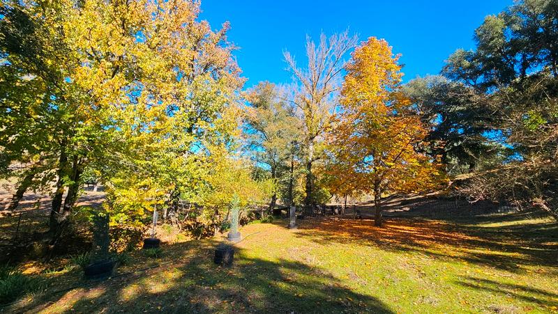 Foto 9df53145-d08f-4c4a-a8cb-a7f016a861ec. Casa amb xemeneia aparcament piscina a Cortelazor