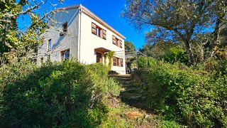 Casa a Marines (Los). Preciosa finca de 2,2 has con casa, albercas y huerta