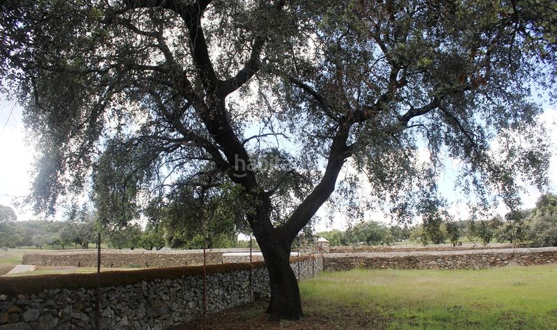 Foto 0578e7e4-b9a4-4b25-9675-f8e9746e15cd. Finca rústica a Santa Olalla del Cala