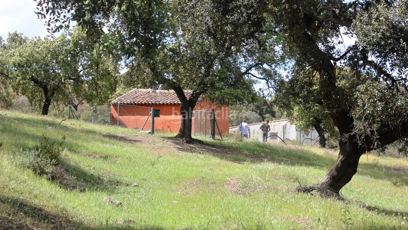 Foto 075e81e9-32f5-4866-b9a4-3879a7493d96. Finca rústica a Santa Olalla del Cala