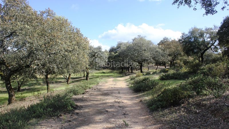 Foto 4e2c4c64-f9d6-4144-bee8-27508cf08087. Finca rústica a Santa Olalla del Cala