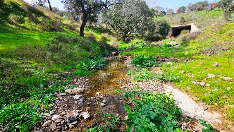 Foto 52ca6d01-6358-4d27-95ae-ecb4d32004a1. Finca rústica a Santa Olalla del Cala