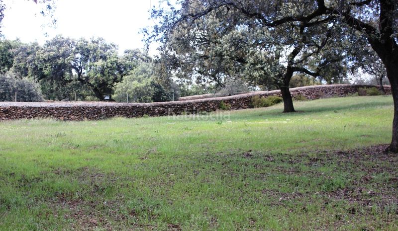 Foto 542dc2f2-5b8d-41ad-9640-90a4be333d04. Finca rústica a Santa Olalla del Cala