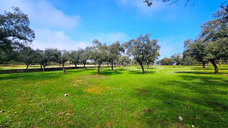 Foto 78234d67-f5a9-481f-8f5d-b358f193ef86. Finca rústica a Santa Olalla del Cala