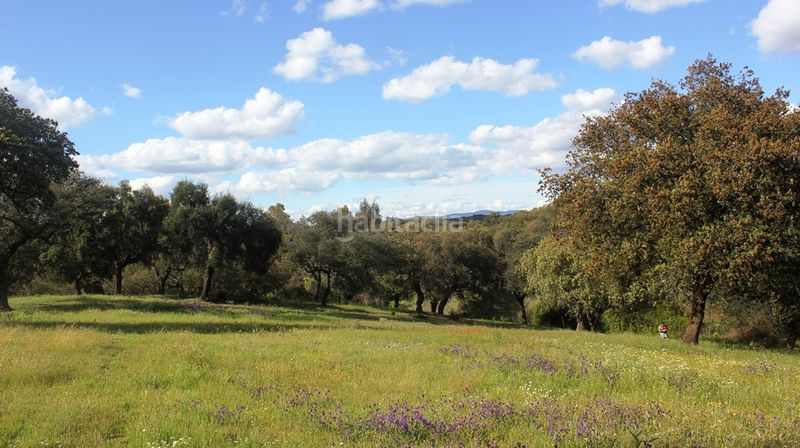 Foto 9d8ae664-71c5-4e1d-8ce0-07b5279e0498. Finca rústica a Santa Olalla del Cala