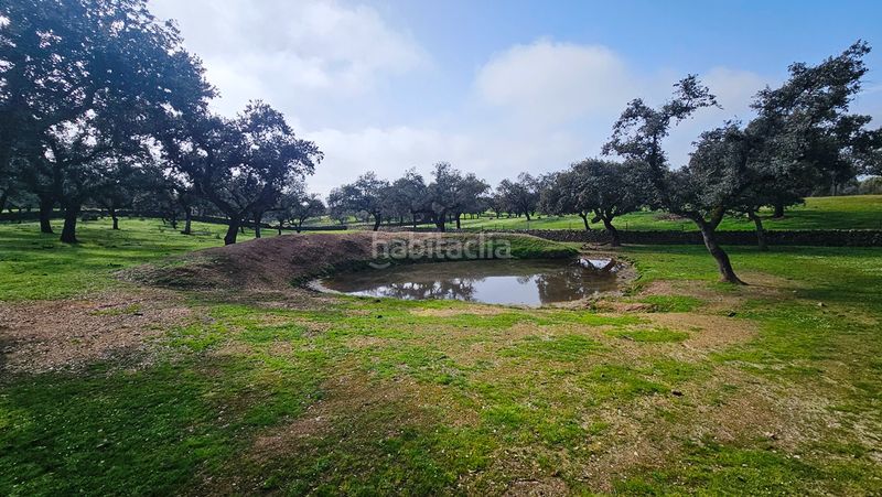 Foto b9ff69e0-0768-4963-9680-167a2e845155. Finca rústica a Santa Olalla del Cala