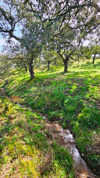 Foto f4fd6144-728b-4ed9-852c-d901f664b3e9. Finca rústica a Santa Olalla del Cala