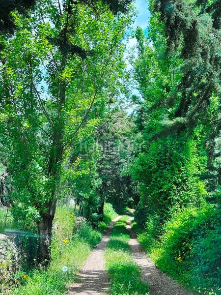 Foto 4dcc81f1-e5f1-4850-a6b5-1ce68ad60d17. Casa amb xemeneia aparcament piscina a Aracena