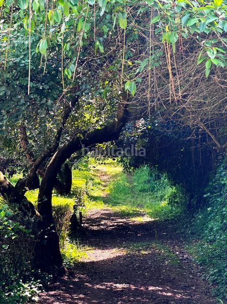 Foto 9dbc25dc-6413-45a4-9b41-b990e8286e32. Casa amb xemeneia aparcament piscina a Aracena