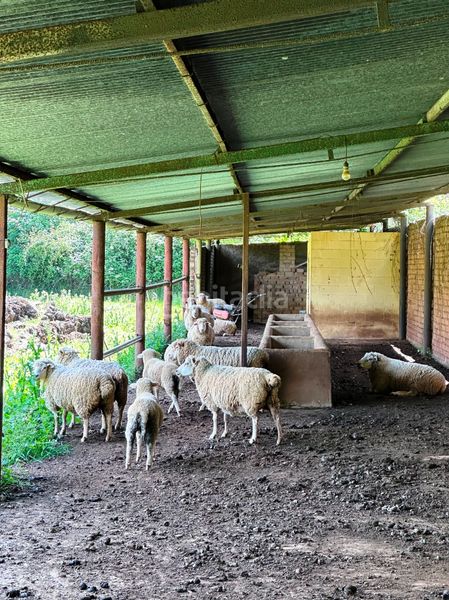 Foto a96d6984-6455-4091-ad5d-97575f04f377. Casa amb xemeneia aparcament piscina a Aracena