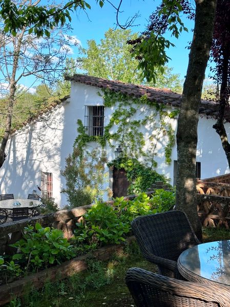 Foto ddd74d9c-77cd-4939-b150-d9f2755369f6. Casa amb xemeneia aparcament piscina a Aracena