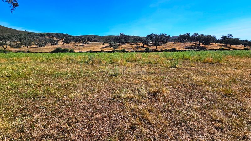 Foto 5af87073-537c-4f2d-9699-618725dfdc54. Finca rústica a Aracena