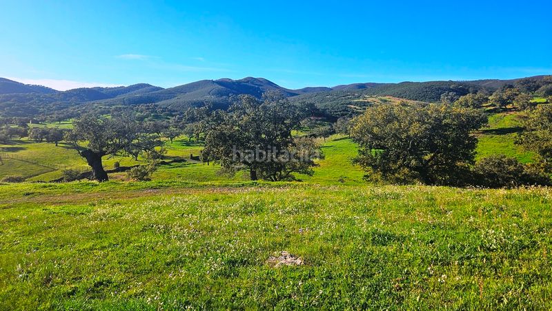 Foto 74018803-fa85-4482-a1df-b52269e01ca2. Finca rústica a Aracena