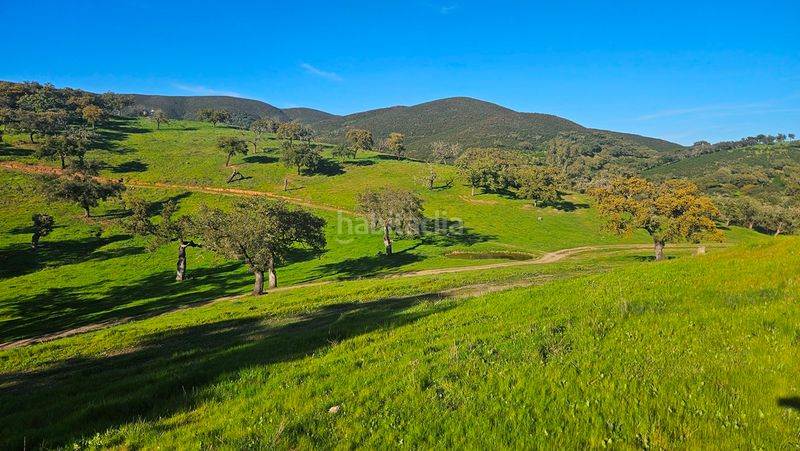 Foto 9f4aff33-6a14-4767-af9b-fd0391a7d56c. Finca rústica a Aracena