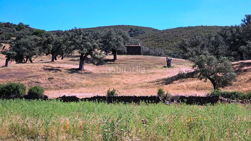 Foto c01dc573-6143-41a8-865d-e8d6057987bb. Finca rústica a Aracena