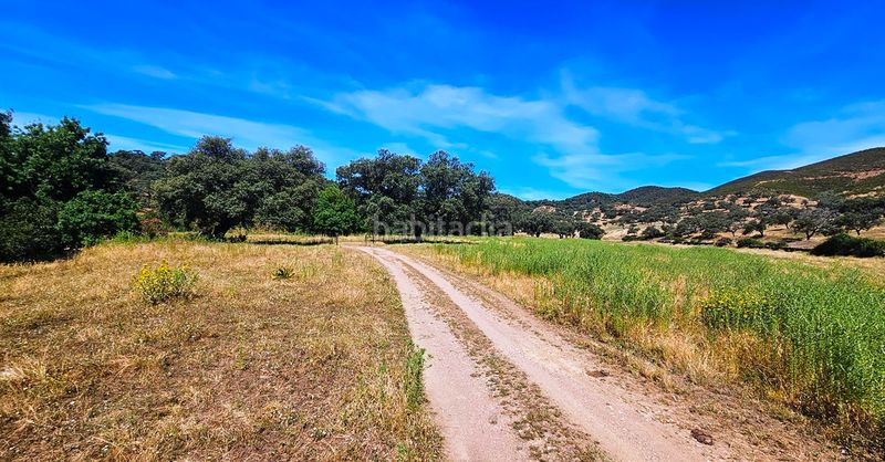Foto c37d21a0-6d8f-4b05-aeef-e81136cf19c4. Finca rústica a Aracena