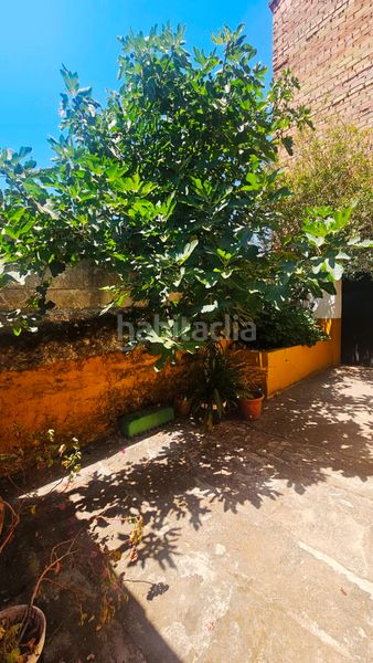 Foto 171fc36e-d841-40b0-b08c-21e89addb05a. Casa a calle san mamés 2 a Aroche