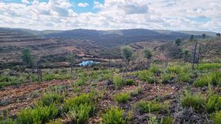 Finca rústica a Higuera de la Sierra. Finca de alcornoques en higuera de la sierra