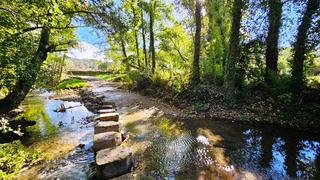 Finca rústica a Nava (La). Huerta de casi 4.000 m2 con caseta en la nava