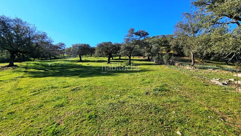 Foto 5b800787-4837-458c-a24a-d770b22ae1e7. Finca rústica a Cortelazor