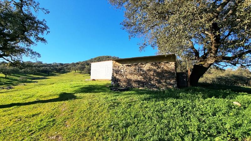 Foto a4e6f8b5-aa00-44c4-b74e-d78f58ca932e. Finca rústica a Cortelazor
