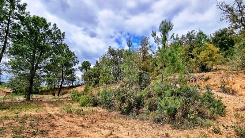 Foto 130a4cdb-4ccb-4933-bc31-69c784a6ba4a. Landgut in Galaroza