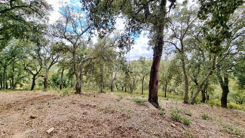 Foto 6c6d2f37-533c-4e9b-82fa-1ebd98315189. Landgut in Galaroza