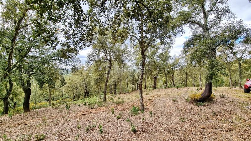 Foto d3dc24ac-f0dc-43de-a149-1d1d363238df. Landgut in Galaroza